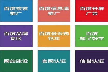 SEM广告投放的创意与执行：成功案例剖析