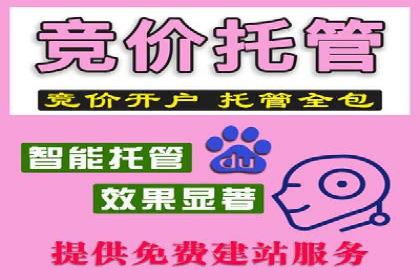 SEM竞价代运营公司经典案例解析